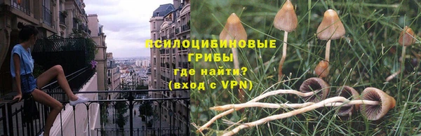 MDMA Premium VHQ Инта