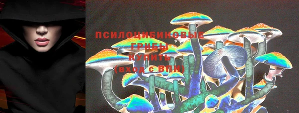 mdpv Иннополис