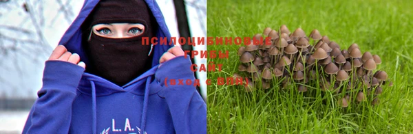 кристаллы Зеленокумск